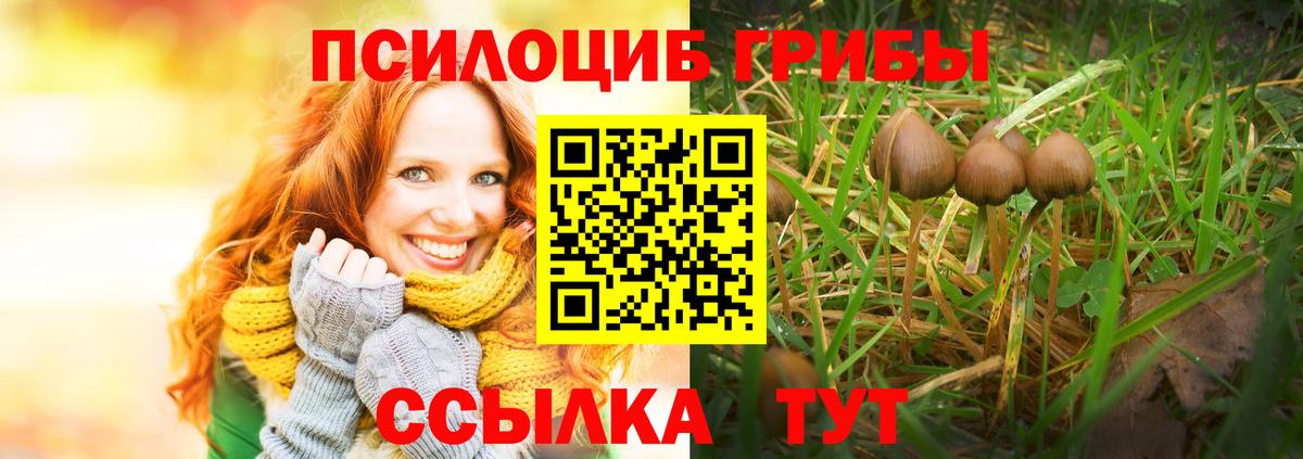 купить   Псилоцибиновые грибы ЛСД  Вход с VPN  Псилоцибиновые грибы Psilocybine cubensis  Скопин 
